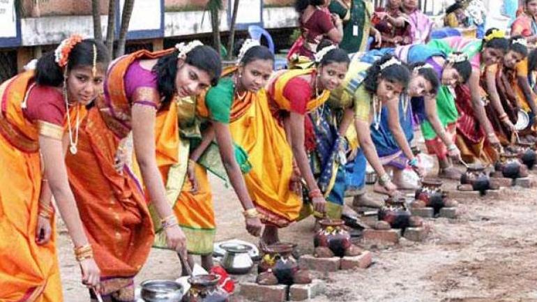 harvest-festival-of-tamil-nadu-day-by-day-celebration